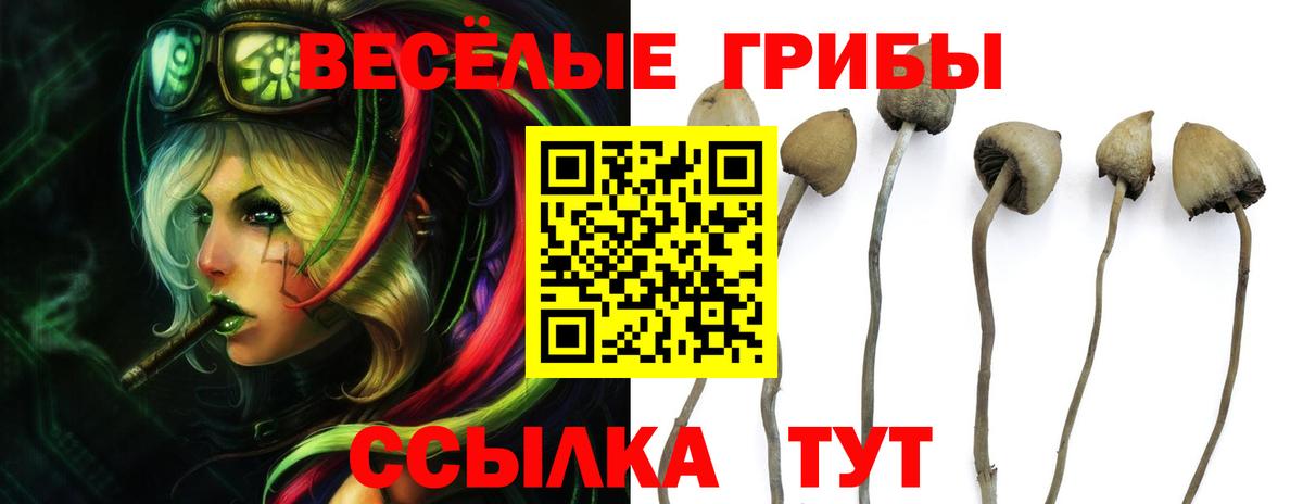 Галлюциногенные грибы Magic Shrooms Котельники